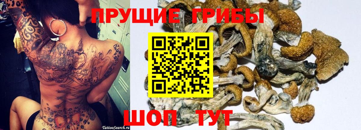 Галлюциногенные грибы ЛСД  Вход с VPN  где можно купить наркотик  Сергиев Посад 